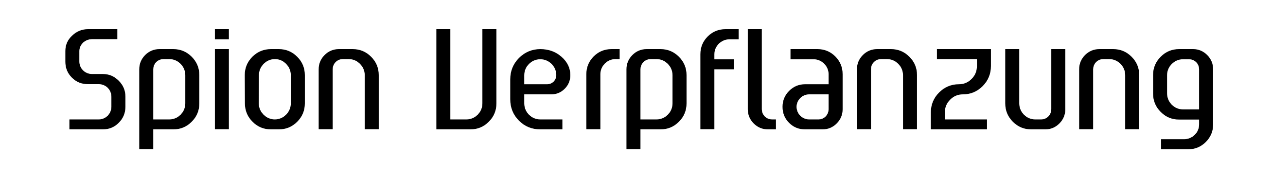Spion Verpflanzung